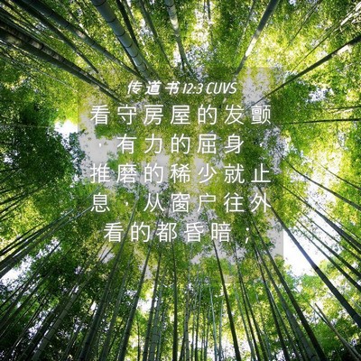 Picture 04 - 传 道 书 12:3 CUVS - 看 守 房 屋 的 发 颤 ， 有 力 的 屈 - Bible Verse Picture