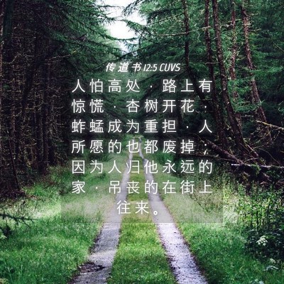 Picture 04 - 传 道 书 12:5 CUVS - 人 怕 高 处 ， 路 上 有 惊 慌 ， 杏 - Bible Verse Picture