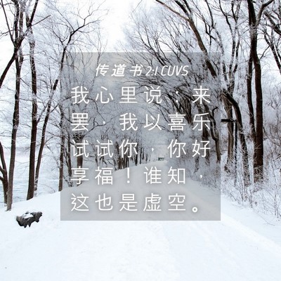 Picture 04 - 传 道 书 2:1 CUVS - 我 心 里 说 ： 来 罢 ， 我 以 喜 乐 - Bible Verse Picture