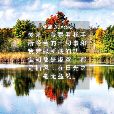 Picture 04 - 传 道 书 2:11 CUVS - 後 来 ， 我 察 看 我 手 所 经 营 的 - Bible Verse Picture