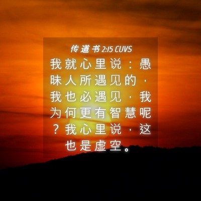 Picture 04 - 传 道 书 2:15 CUVS - 我 就 心 里 说 ： 愚 昧 人 所 遇 见 - Bible Verse Picture