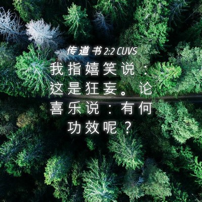 Picture 04 - 传 道 书 2:2 CUVS - 我 指 嬉 笑 说 ： 这 是 狂 妄 。 论 - Bible Verse Picture