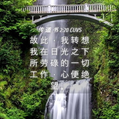 Picture 04 - 传 道 书 2:20 CUVS - 故 此 ， 我 转 想 我 在 日 光 之 下 - Bible Verse Picture