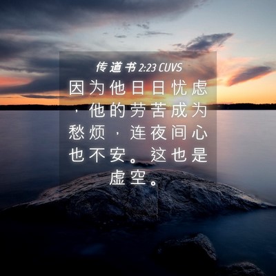 Picture 04 - 传 道 书 2:23 CUVS - 因 为 他 日 日 忧 虑 ， 他 的 劳 苦 - Bible Verse Picture