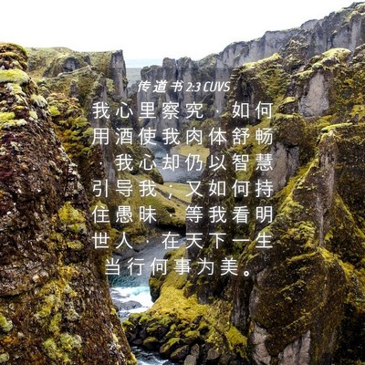 Picture 04 - 传 道 书 2:3 CUVS - 我 心 里 察 究 ， 如 何 用 酒 使 我 - Bible Verse Picture