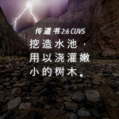 Picture 04 - 传 道 书 2:6 CUVS - 挖 造 水 池 ， 用 以 浇 灌 嫩 小 的 - Bible Verse Picture