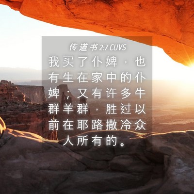 Picture 04 - 传 道 书 2:7 CUVS - 我 买 了 仆 婢 ， 也 有 生 在 家 中 - Bible Verse Picture