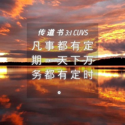 Picture 04 - 传 道 书 3:1 CUVS - 凡 事 都 有 定 期 ， 天 下 万 务 都 - Bible Verse Picture