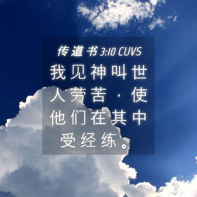 Picture 04 - 传 道 书 3:10 CUVS - 我 见 神 叫 世 人 劳 苦 ， 使 他 们 - Bible Verse Picture