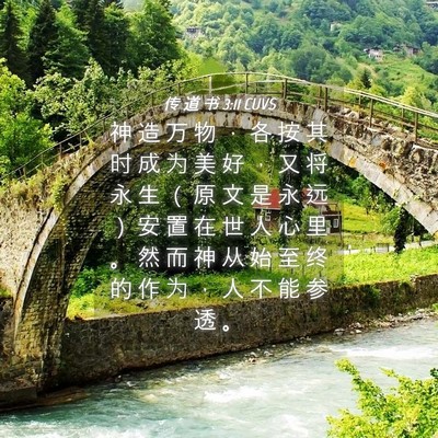 Picture 04 - 传 道 书 3:11 CUVS - 神 造 万 物 ， 各 按 其 时 成 为 美 - Bible Verse Picture