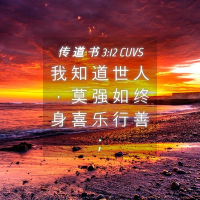 Picture 04 - 传 道 书 3:12 CUVS - 我 知 道 世 人 ， 莫 强 如 终 身 喜 - Bible Verse Picture