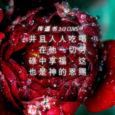 Picture 04 - 传 道 书 3:13 CUVS - 并 且 人 人 吃 喝 ， 在 他 一 切 劳 - Bible Verse Picture