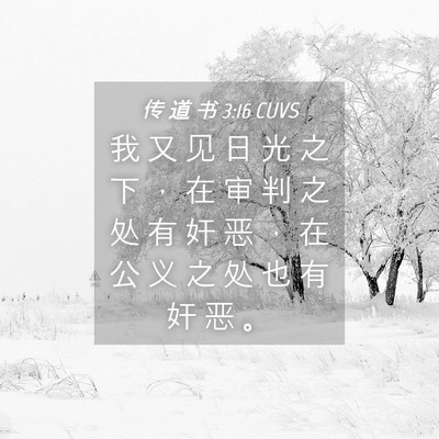 Picture 04 - 传 道 书 3:16 CUVS - 我 又 见 日 光 之 下 ， 在 审 判 之 - Bible Verse Picture
