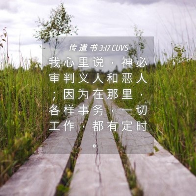 Picture 04 - 传 道 书 3:17 CUVS - 我 心 里 说 ， 神 必 审 判 义 人 和 - Bible Verse Picture
