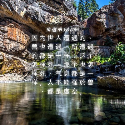 Picture 04 - 传 道 书 3:19 CUVS - 因 为 世 人 遭 遇 的 ， 兽 也 遭 遇 - Bible Verse Picture