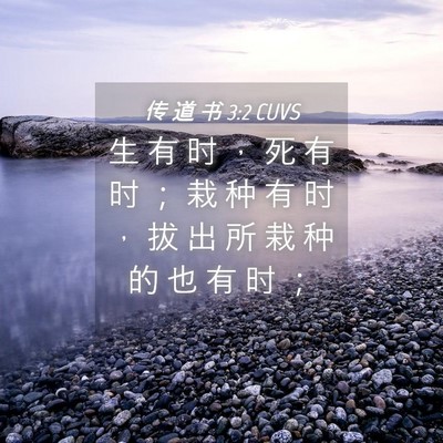 Picture 04 - 传 道 书 3:2 CUVS - 生 有 时 ， 死 有 时 ； 栽 种 有 时 - Bible Verse Picture