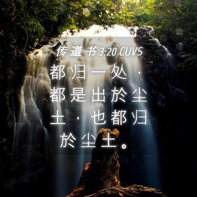 Picture 04 - 传 道 书 3:20 CUVS - 都 归 一 处 ， 都 是 出 於 尘 土 ， - Bible Verse Picture