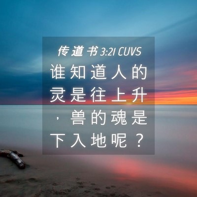 Picture 04 - 传 道 书 3:21 CUVS - 谁 知 道 人 的 灵 是 往 上 升 ， 兽 - Bible Verse Picture