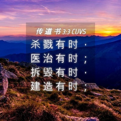 Picture 04 - 传 道 书 3:3 CUVS - 杀 戮 有 时 ， 医 治 有 时 ； 拆 毁 - Bible Verse Picture