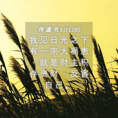 Picture 04 - 传 道 书 5:13 CUVS - 我 见 日 光 之 下 有 一 宗 大 祸 患 - Bible Verse Picture