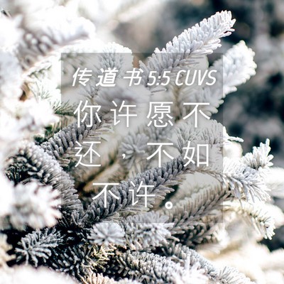 Picture 04 - 传 道 书 5:5 CUVS - 你 许 愿 不 还 ， 不 如 不 许 - Bible Verse Picture