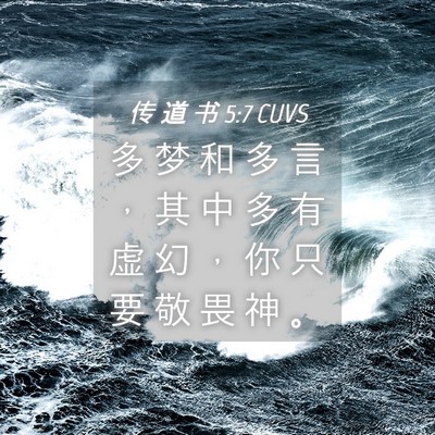 Picture 04 - 传 道 书 5:7 CUVS - 多 梦 和 多 言 ， 其 中 多 有 虚 幻 - Bible Verse Picture