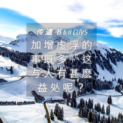 Picture 04 - 传 道 书 6:11 CUVS - 加 增 虚 浮 的 事 既 多 ， 这 与 人 - Bible Verse Picture