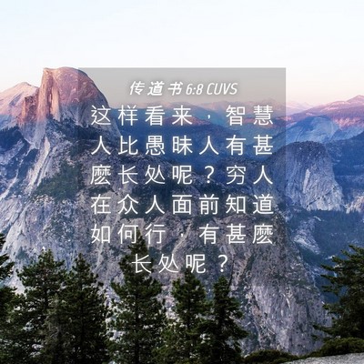 Picture 04 - 传 道 书 6:8 CUVS - 这 样 看 来 ， 智 慧 人 比 愚 昧 人 - Bible Verse Picture
