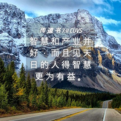 Picture 04 - 传 道 书 7:11 CUVS - 智 慧 和 产 业 并 好 ， 而 且 见 天 - Bible Verse Picture