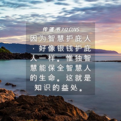 Picture 04 - 传 道 书 7:12 CUVS - 因 为 智 慧 护 庇 人 ， 好 像 银 钱 - Bible Verse Picture