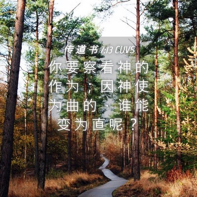 Picture 04 - 传 道 书 7:13 CUVS - 你 要 察 看 神 的 作 为 ； 因 神 使 - Bible Verse Picture