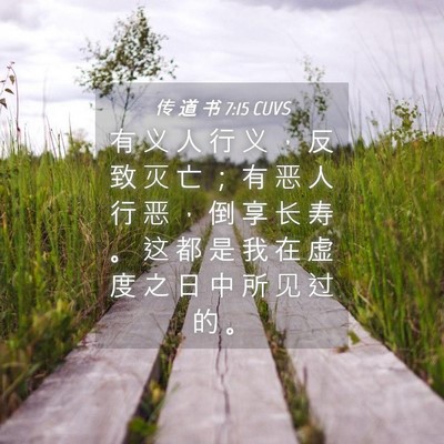 Picture 04 - 传 道 书 7:15 CUVS - 有 义 人 行 义 ， 反 致 灭 亡 ； 有 - Bible Verse Picture