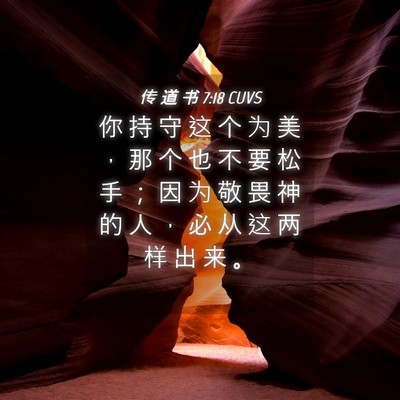 Picture 04 - 传 道 书 7:18 CUVS - 你 持 守 这 个 为 美 ， 那 个 也 不 - Bible Verse Picture
