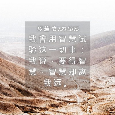 Picture 04 - 传 道 书 7:23 CUVS - 我 曾 用 智 慧 试 验 这 一 切 事 ； - Bible Verse Picture