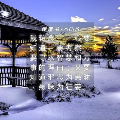 Picture 04 - 传 道 书 7:25 CUVS - 我 转 念 ， 一 心 要 知 道 ， 要 考 - Bible Verse Picture