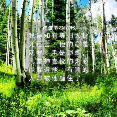 Picture 04 - 传 道 书 7:26 CUVS - 我 得 知 有 等 妇 人 比 死 还 苦 ： - Bible Verse Picture