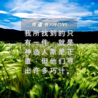 Picture 04 - 传 道 书 7:29 CUVS - 我 所 找 到 的 只 有 一 件 ， 就 是 - Bible Verse Picture