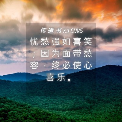Picture 04 - 传 道 书 7:3 CUVS - 忧 愁 强 如 喜 笑 ； 因 为 面 带 愁 - Bible Verse Picture