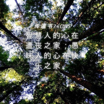 Picture 04 - 传 道 书 7:4 CUVS - 智 慧 人 的 心 在 遭 丧 之 家 ； 愚 - Bible Verse Picture