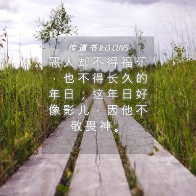 Picture 04 - 传 道 书 8:13 CUVS - 恶 人 却 不 得 福 乐 ， 也 不 得 长 - Bible Verse Picture