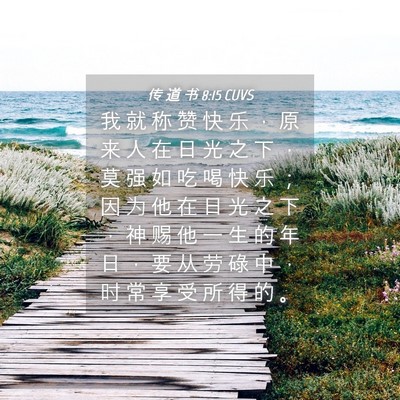 Picture 04 - 传 道 书 8:15 CUVS - 我 就 称 赞 快 乐 ， 原 来 人 在 日 - Bible Verse Picture
