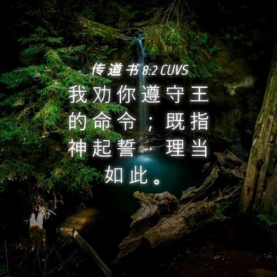 Picture 04 - 传 道 书 8:2 CUVS - 我 劝 你 遵 守 王 的 命 令 ； 既 指 - Bible Verse Picture
