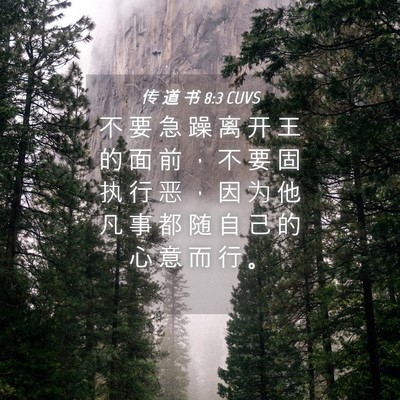 Picture 04 - 传 道 书 8:3 CUVS - 不 要 急 躁 离 开 王 的 面 前 ， 不 - Bible Verse Picture