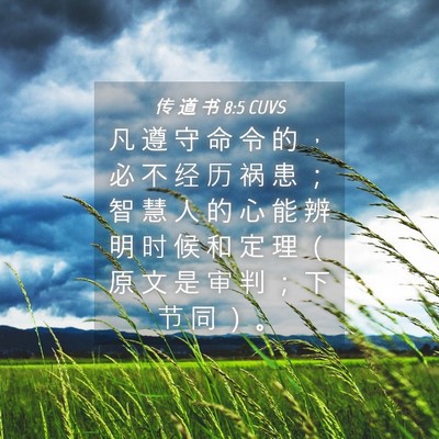 Picture 04 - 传 道 书 8:5 CUVS - 凡 遵 守 命 令 的 ， 必 不 经 历 祸 - Bible Verse Picture