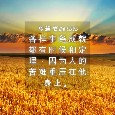 Picture 04 - 传 道 书 8:6 CUVS - 各 样 事 务 成 就 都 有 时 候 和 定 - Bible Verse Picture