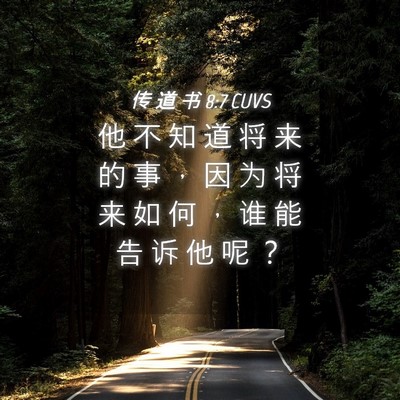 Picture 04 - 传 道 书 8:7 CUVS - 他 不 知 道 将 来 的 事 ， 因 为 将 - Bible Verse Picture