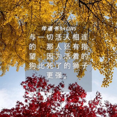Picture 04 - 传 道 书 9:4 CUVS - 与 一 切 活 人 相 连 的 ， 那 人 还 - Bible Verse Picture