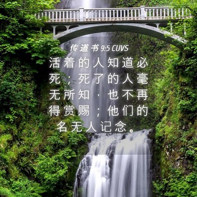 Picture 04 - 传 道 书 9:5 CUVS - 活 着 的 人 知 道 必 死 ； 死 了 的 - Bible Verse Picture