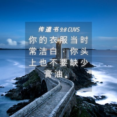 Picture 04 - 传 道 书 9:8 CUVS - 你 的 衣 服 当 时 常 洁 白 ， 你 头 - Bible Verse Picture