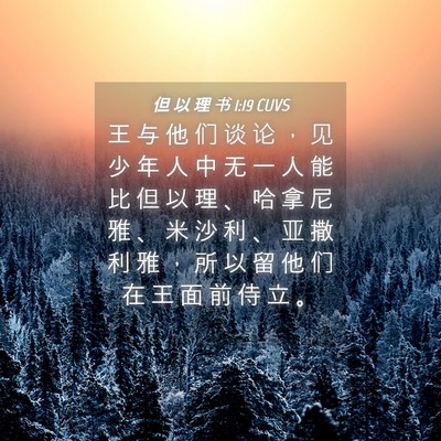 Picture 04 - 但 以 理 书 1:19 CUVS - 王 与 他 们 谈 论 ， 见 少 年 人 中 - Bible Verse Picture